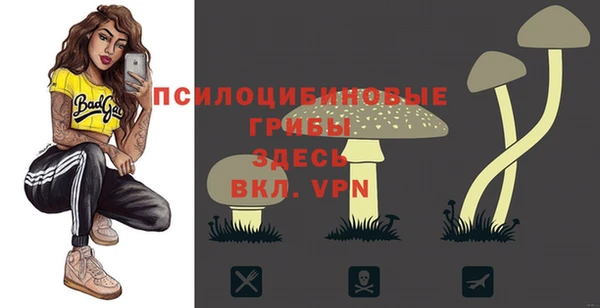 меф Осинники