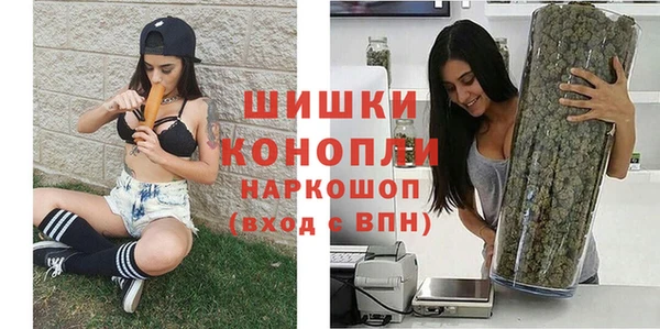 гашик Весьегонск