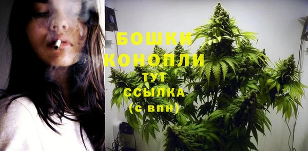 меф Осинники
