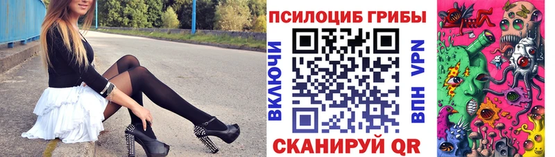 Псилоцибиновые грибы Cubensis  Выборг 