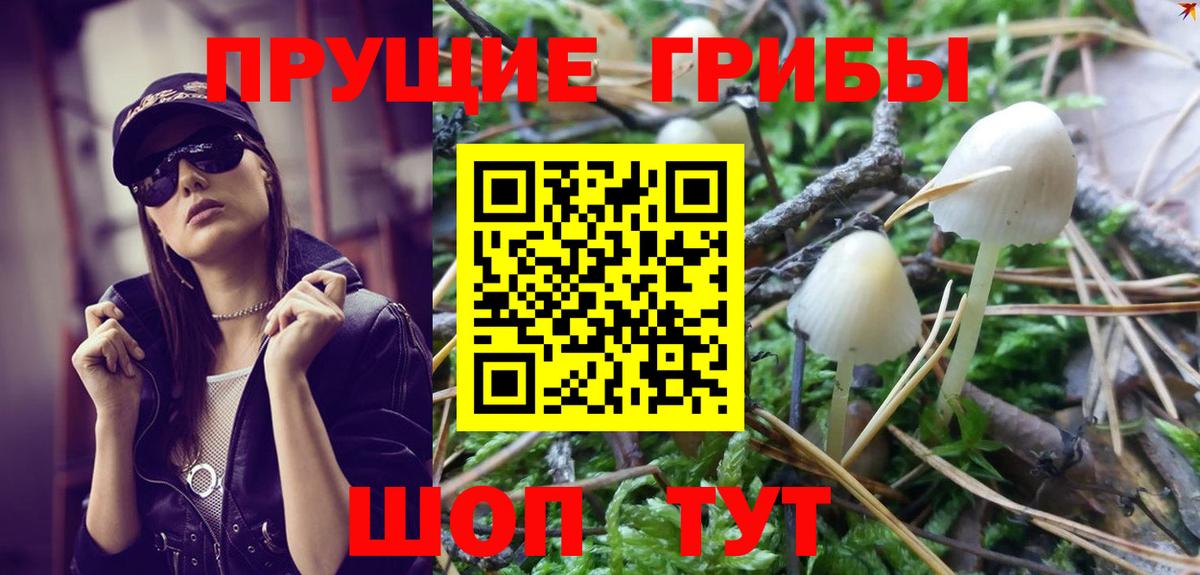 Галлюциногенные грибы Psilocybine cubensis  Вход с VPN  Выборг  Псилоцибиновые грибы Cubensis 