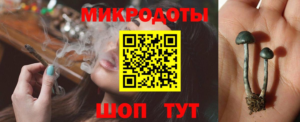 Галлюциногенные грибы прущие грибы  Выборг  Псилоцибиновые грибы ЛСД 