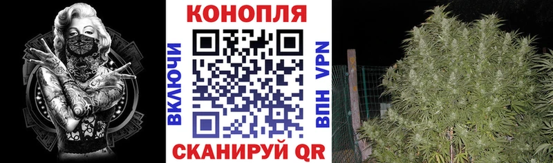 Конопля VHQ где можно купить Выборг